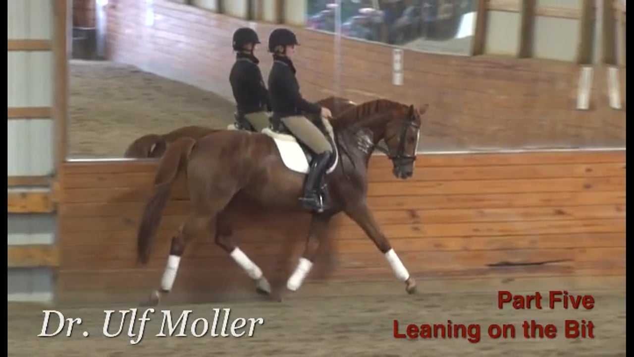 Lateral work to engage the hind leg with Rafael Soto Part 3