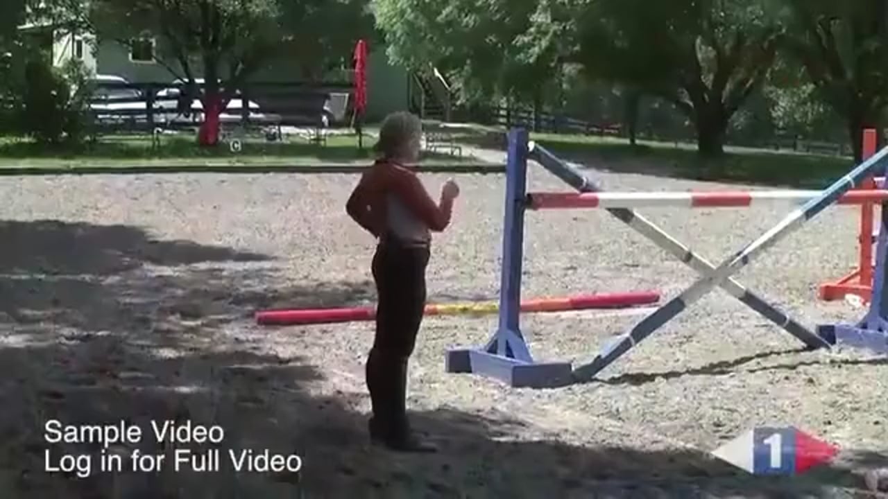 Using Corners In Stadium Jumping | Sharon White | TRAILER