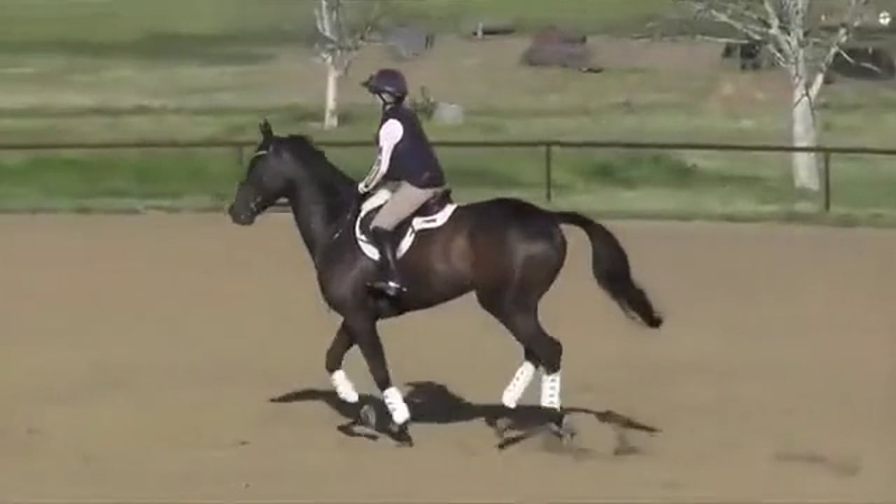 Jumping Fundamentals - Trailer