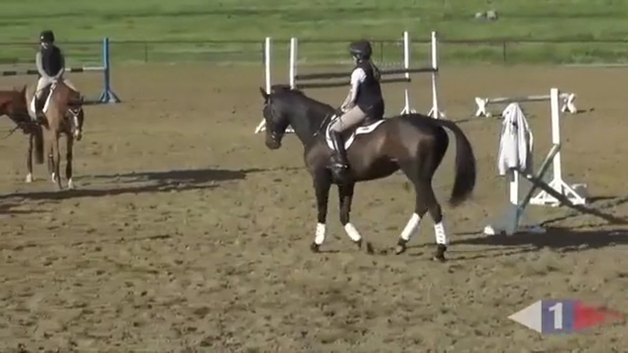 Jumping a Crossrail on the Diagonal – Part 2