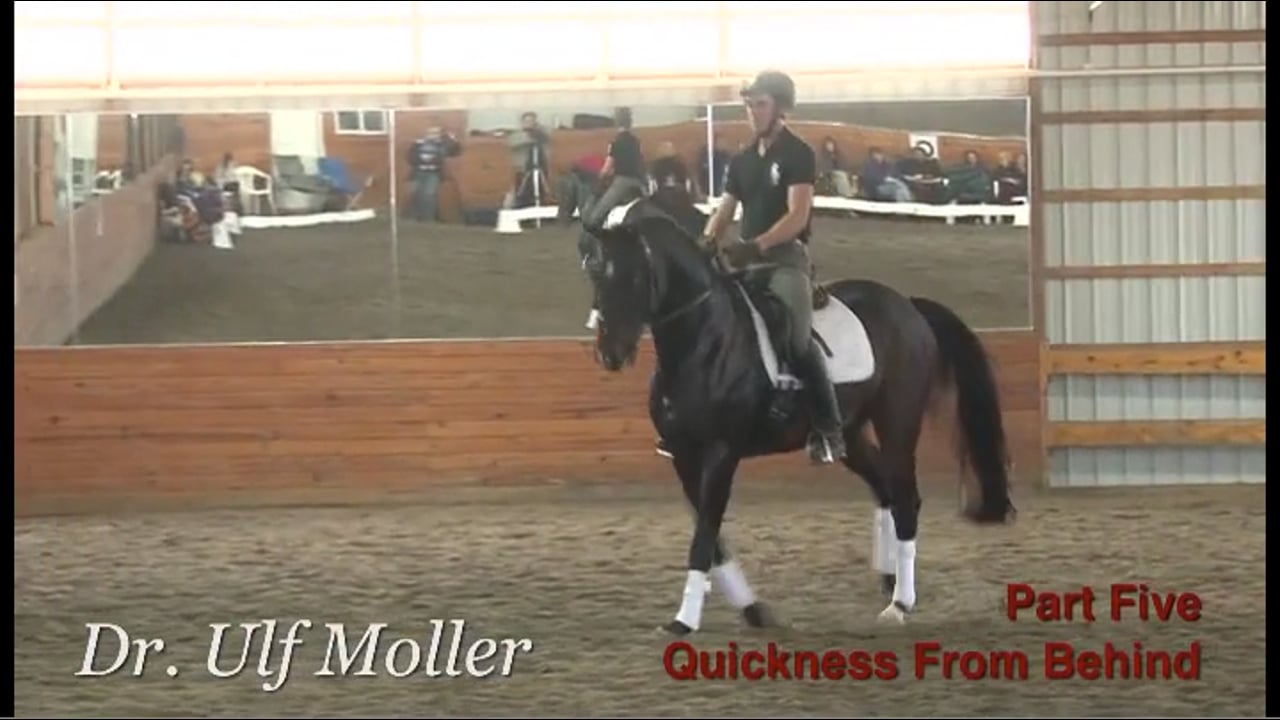 Quickness From Behind at the Training Level | Dr. Ulf Moller | PART 05