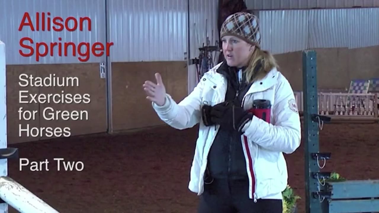 Stadium Exercises For Green Horses | Allison Springer | PART 02