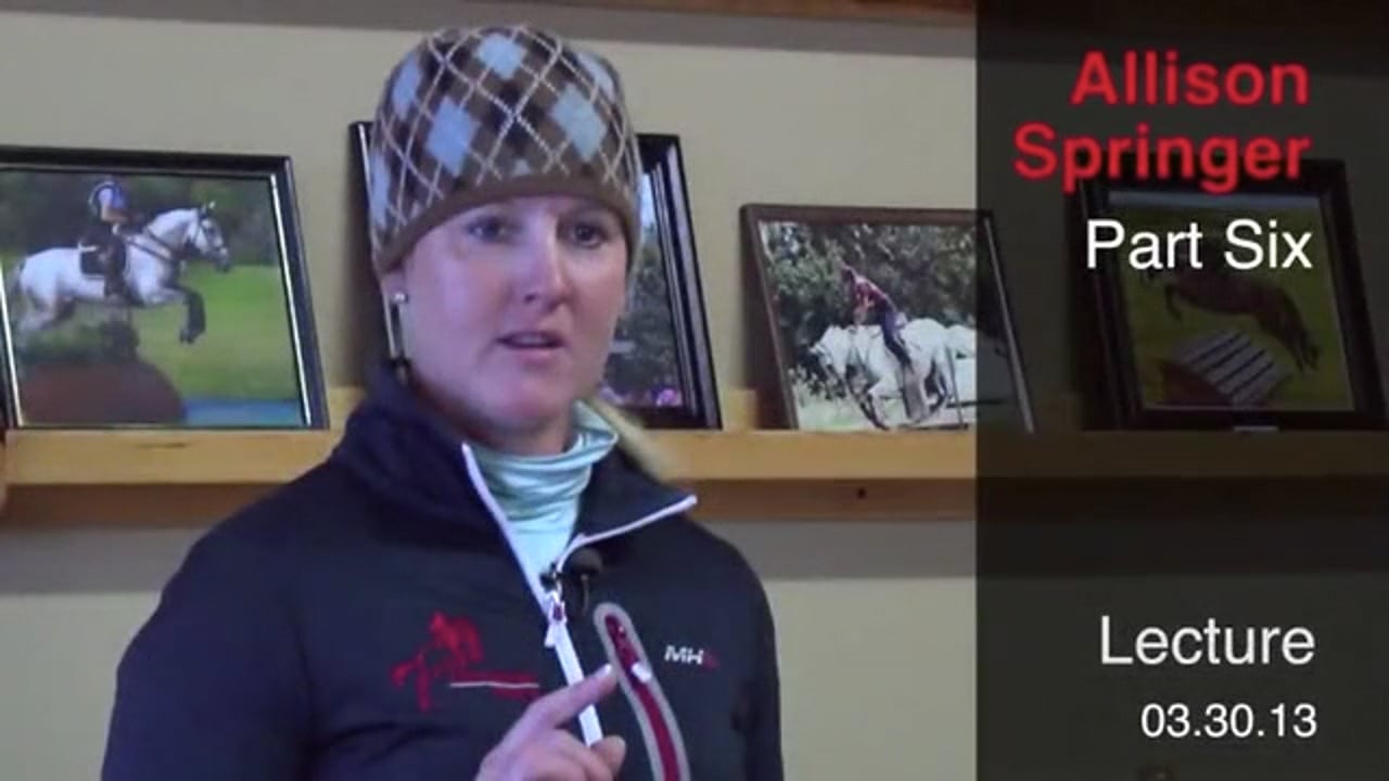 Lecture | Allison Springer | PART 04