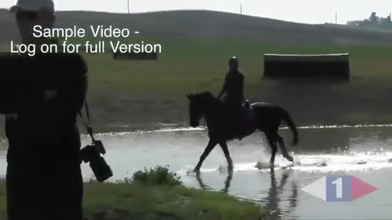 Longer Reins, Forward Riding | Andreas Dibowski | TRAILER