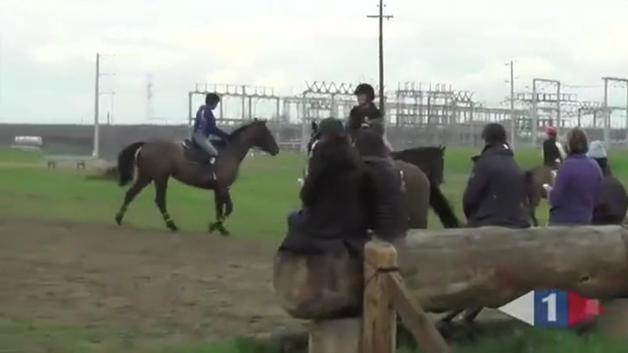Katrin works with a very sensitive horse