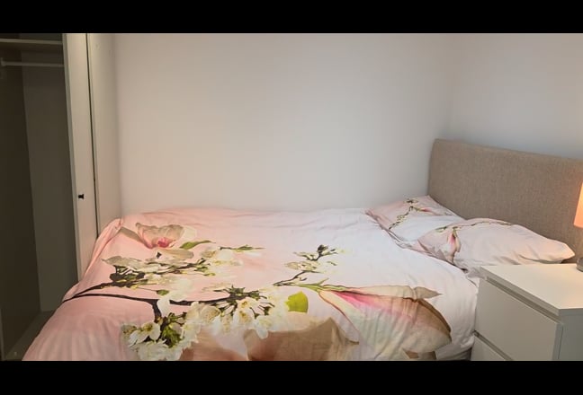 Studio house (brand new) (female only) Main Photo