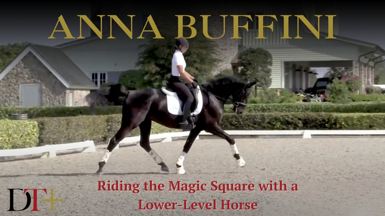 Riding the Magic Square with a Lower-Level Horse | AnnA Buffini