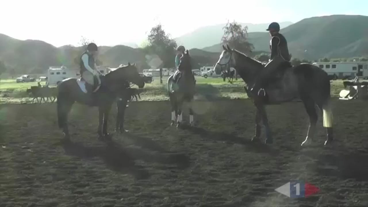 Rider Positions For Cross Country Questions | Boyd Martin | PART 01