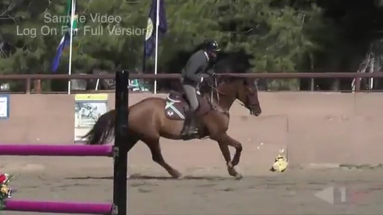 On The Aids For Show Jumping | Leslie Law | TRAILER 02