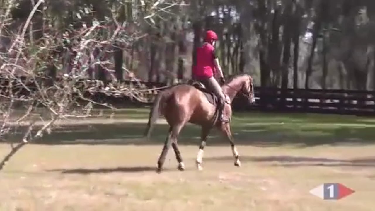 Cross Country | Jimmy Wofford | TRAILER 01