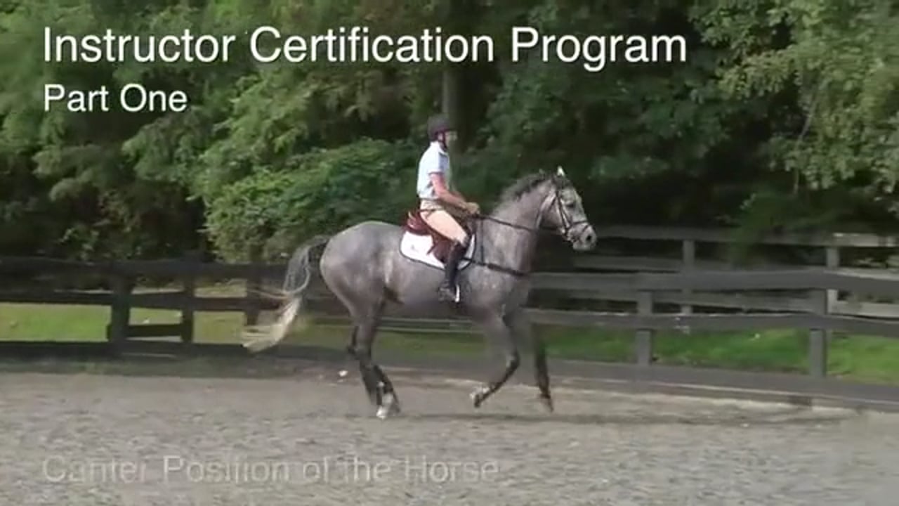 Instructor Certification Program | Robin Walker | PART 01