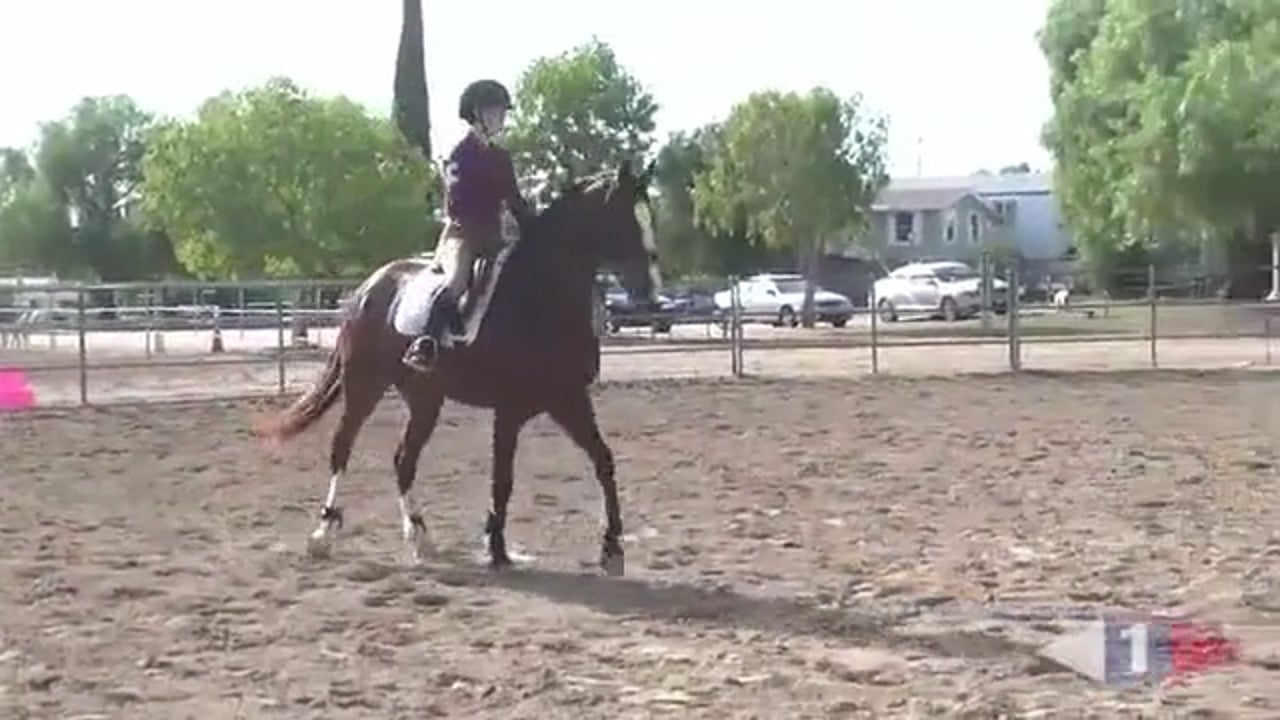 Alignment & Balance | Asia Thayer | TRAILER 01