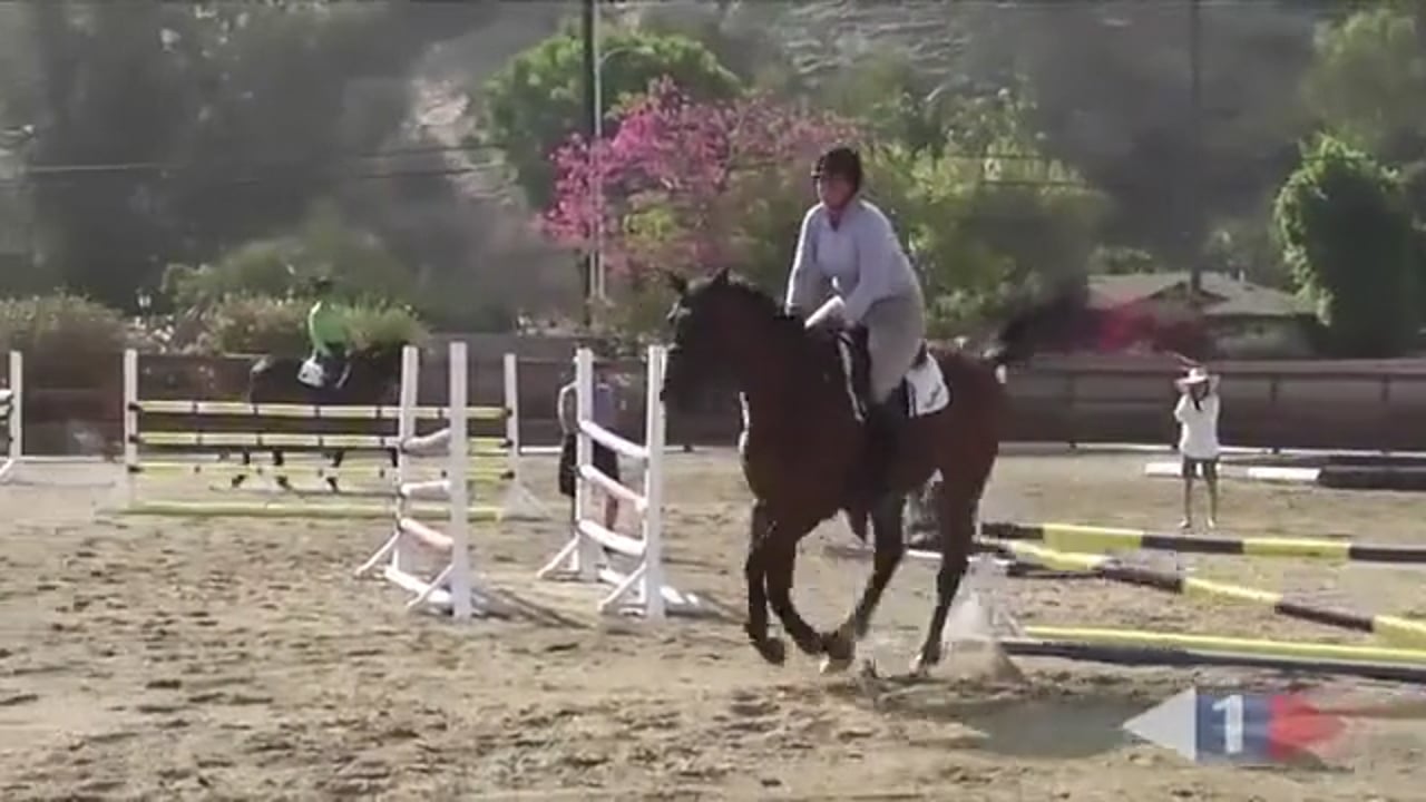 Stadium Jumping Verticals | Greg Best | TRAILER 02