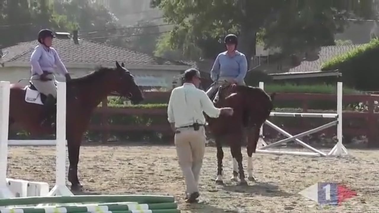 Stadium Jumping Verticals | Greg Best | PART 05