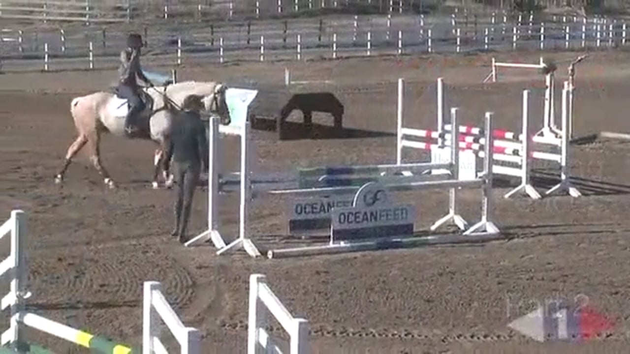 Trotting & Walking Fences | Will Coleman | PART 02