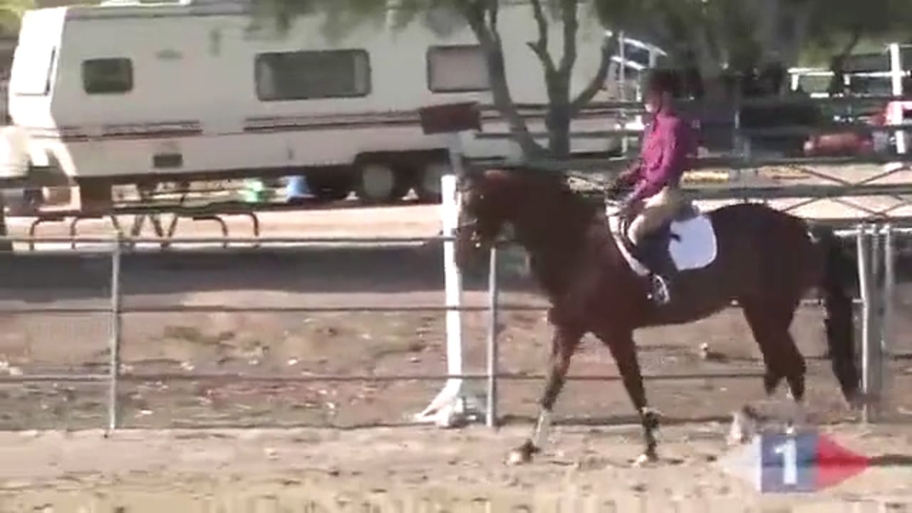 Alignment & Balance | Asia Thayer | PART 02