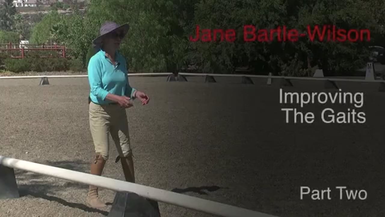 Improving the Gaits | Jane Bartle-Wilson | PART 02