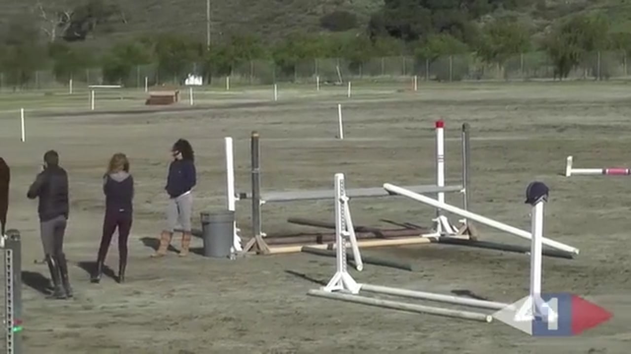 Improving the Jumping Technique of The Horse - Part 4