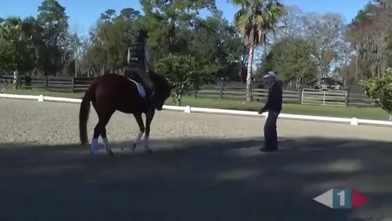 ICP Clinic - Stride Control, Part 2