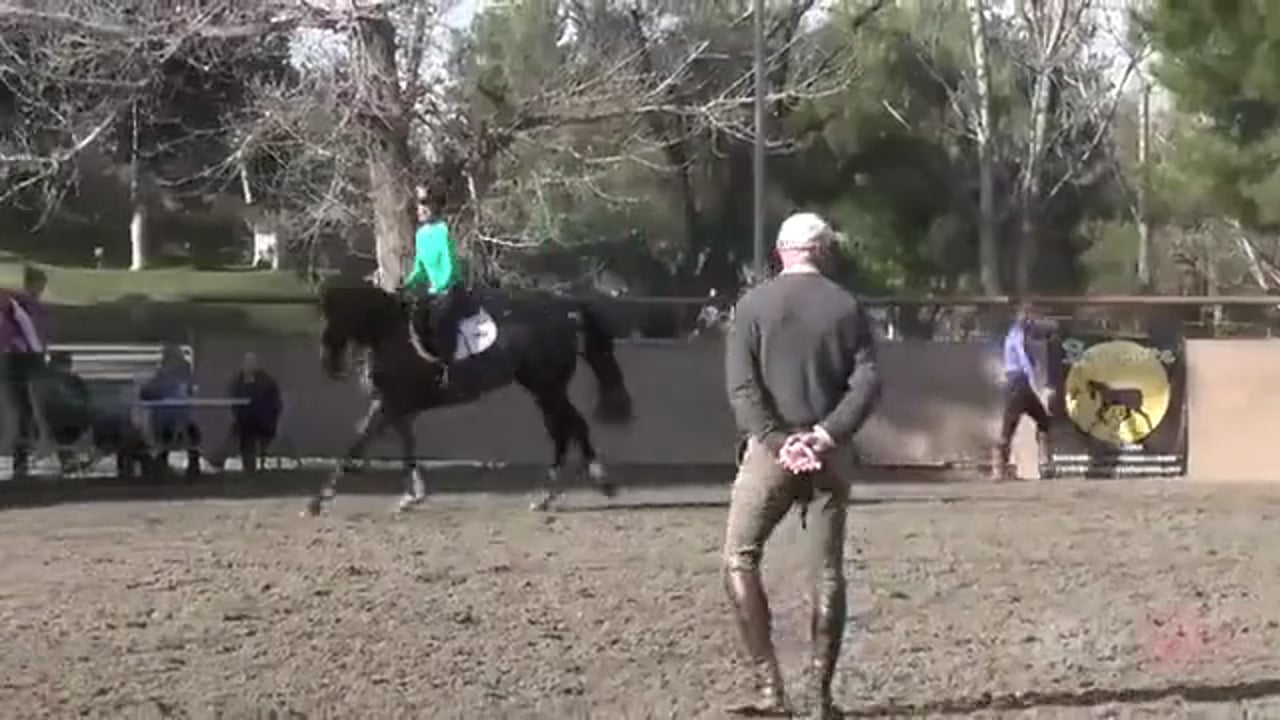 On The Aids For Show Jumping | Leslie Law | PART 01