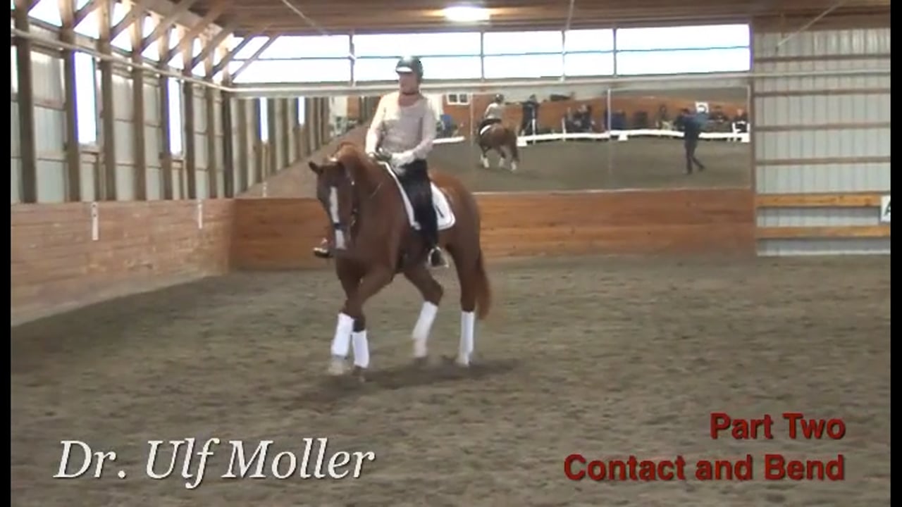 Contact and Bend at the Training Level | Dr. Ulf Moller | PART 02
