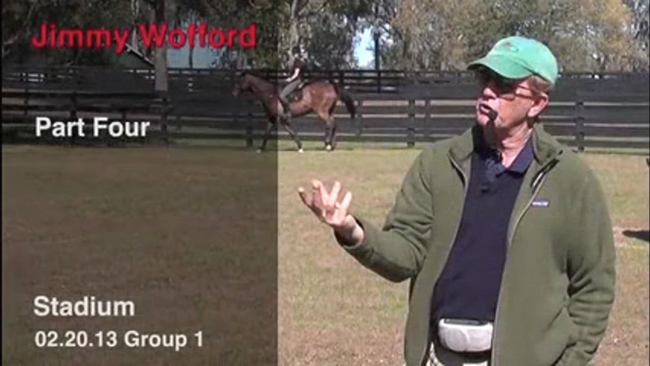 Stadium Jumping | Jimmy Wofford | PART 04