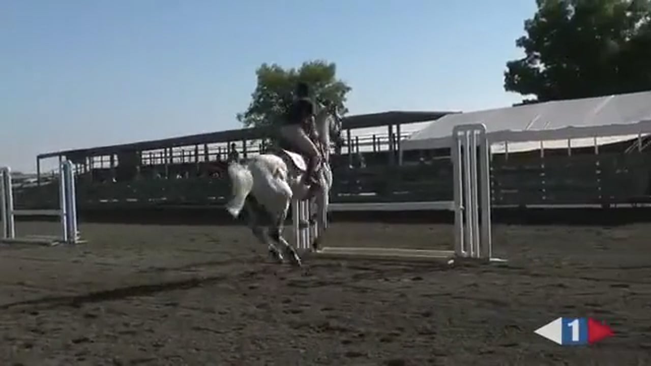 Does Your Horse Look For Their Fence? | David O'Connor | PART 01