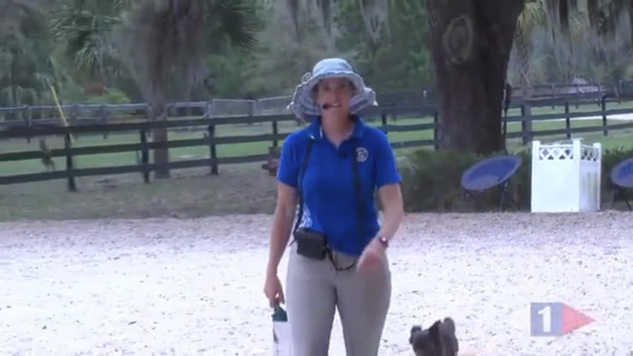 Position, Position!!! - Part 1