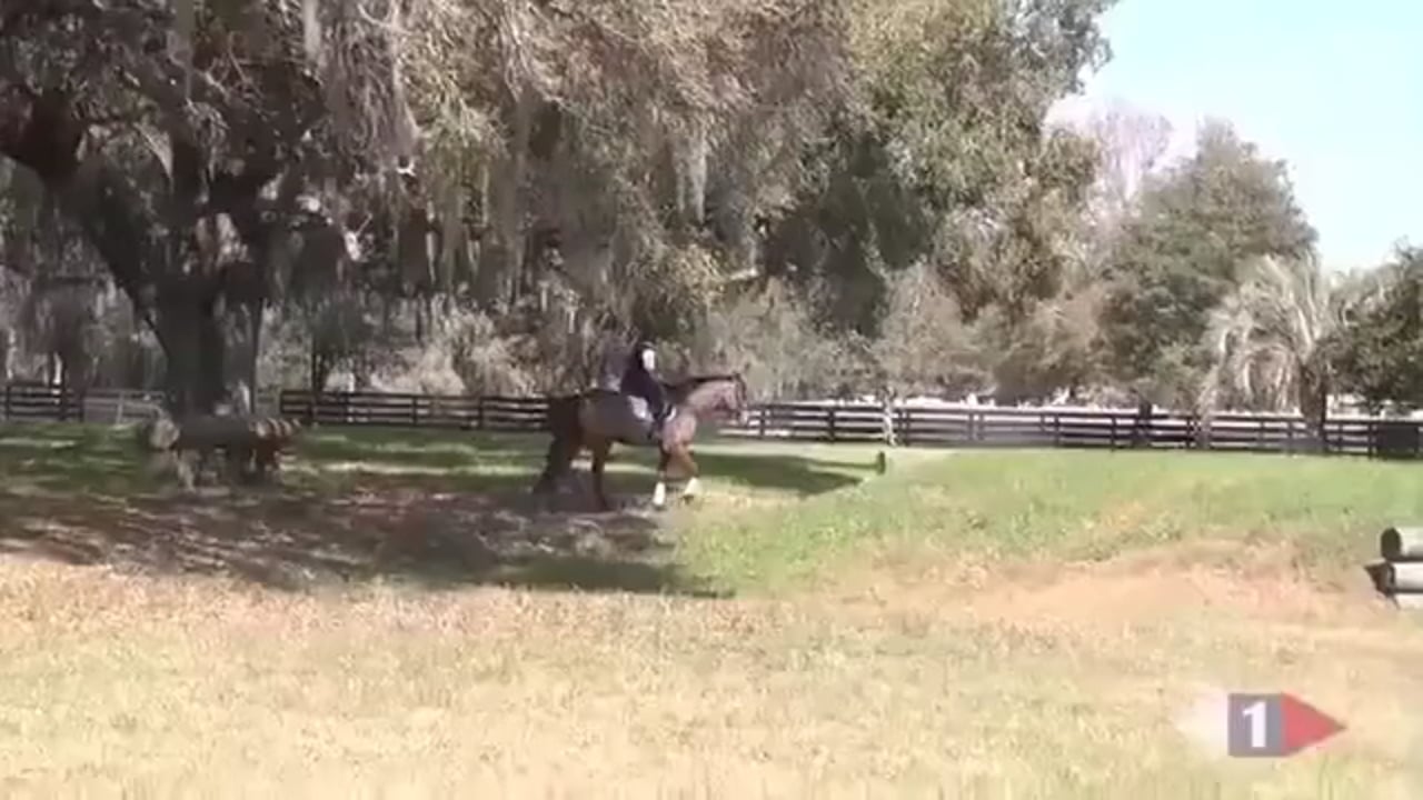 Cross Country | Jimmy Wofford | TRAILER 02