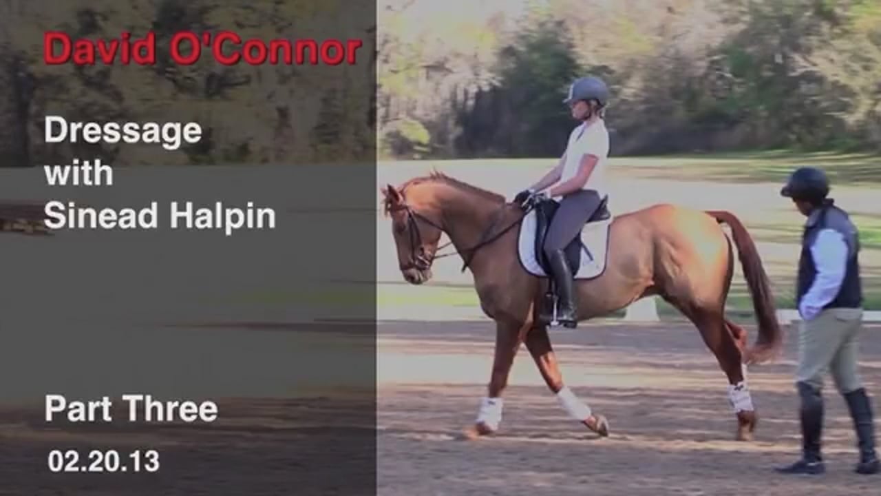 Dressage with Sinead Halpin | David O'Connor | PART 03