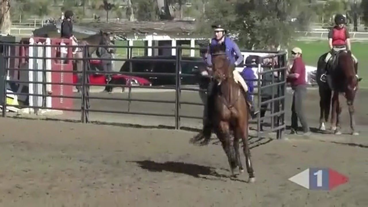Improving Your Turns For Show Jumping | Christopher Burton | PART 01