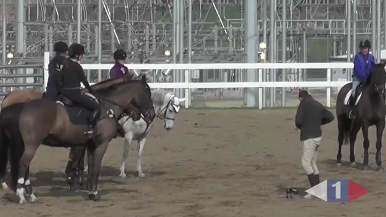 Riding Forward Between The Jumps | Sir Mark Todd | PART 01