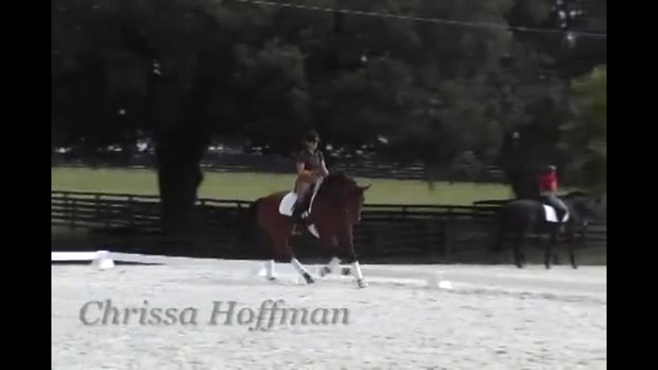 Canter Exercises for the Young Horse | Chrissa Hoffman | PART 02