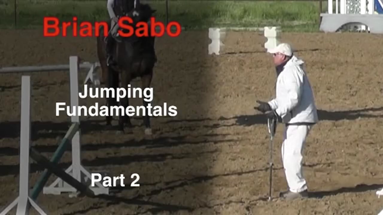 Jumper Flatwork After Days Off – Part 3