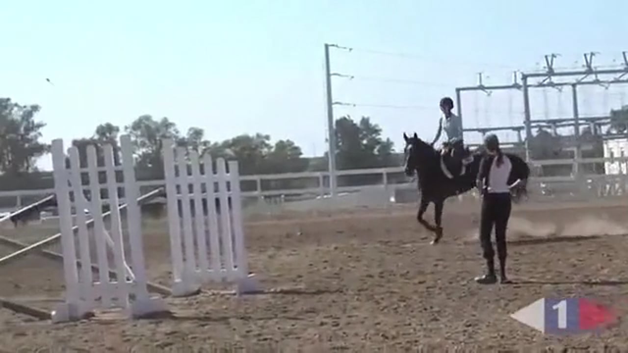 Making Your Horse Adjustable | Phillip Dutton | PART 03