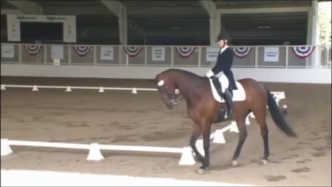 Intermediate 1 Freestyle Performed