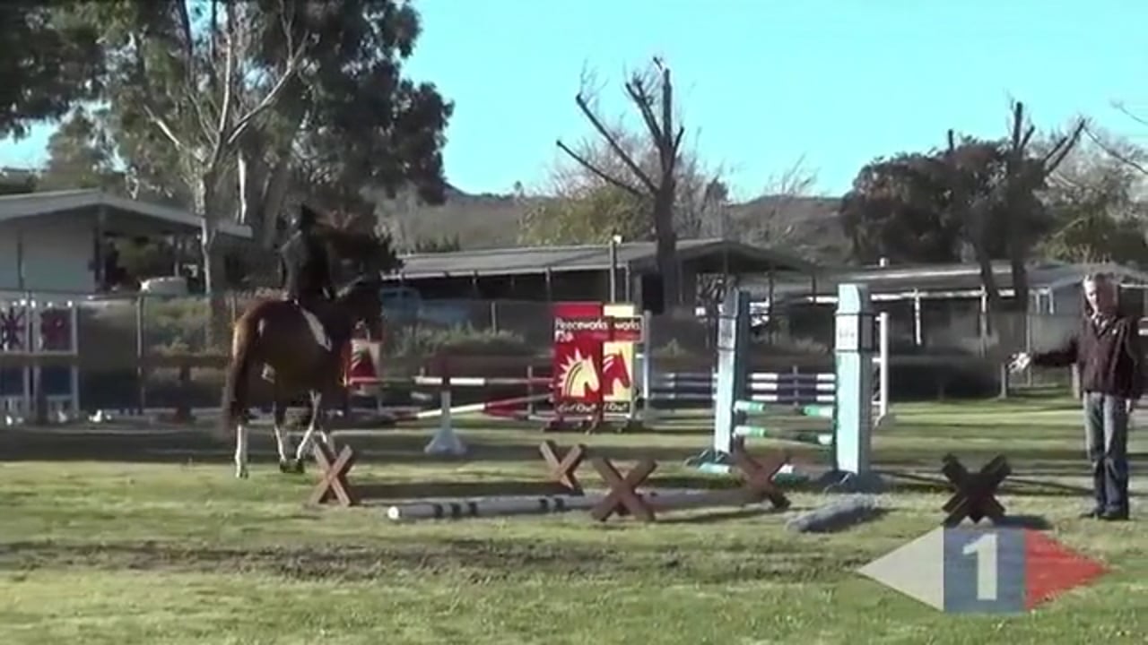 Galloping Gears For Cross Country | Dorothy Crowell | PART 01