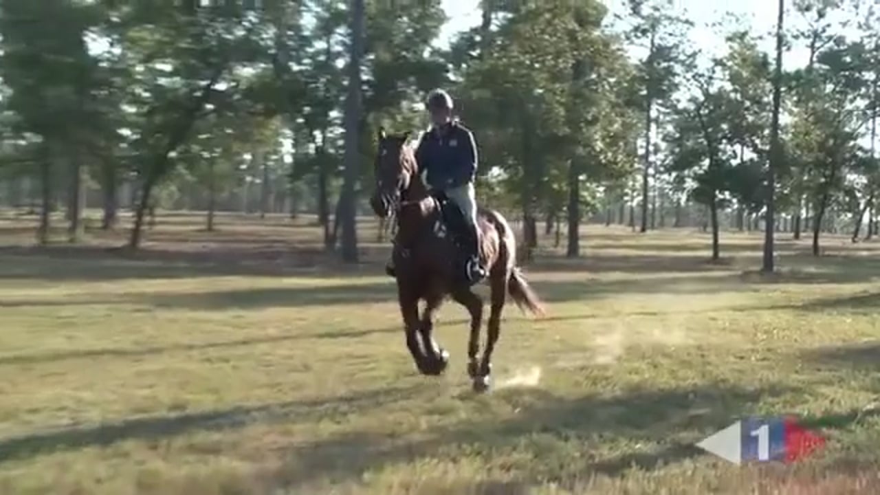 Corners, Water, Ditches - Preliminary | Johnathan Holling | PART 01