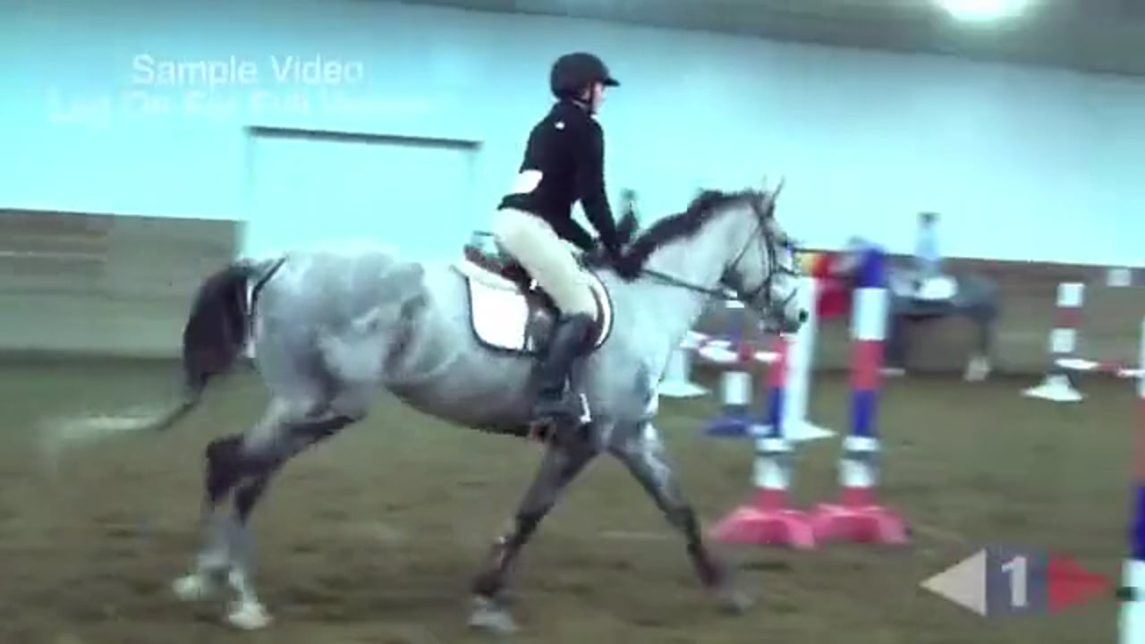 Feeling Your Horse | Jimmy Wofford | TRAILER 01