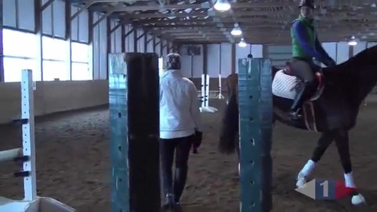 Stadium Exercises For Green Horses | Allison Springer | PART 04
