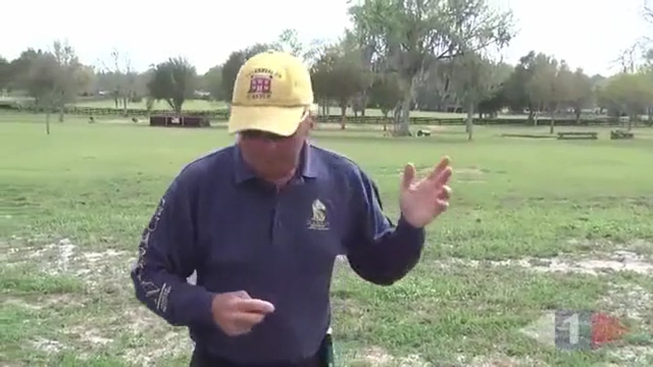 True Connection Part 1