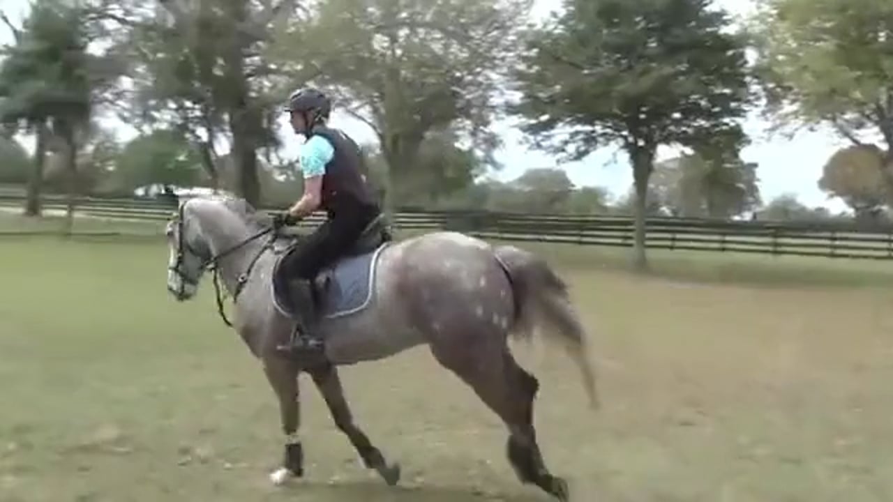 Putting It Together With Two Fences | Robin Walker | TRAILER