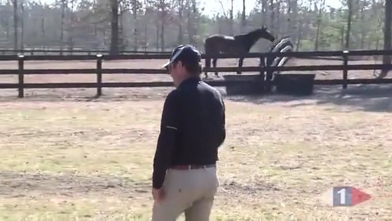 Schooling For Competition, Prelim & Intermediate | Phillip Dutton | TRAILER 01