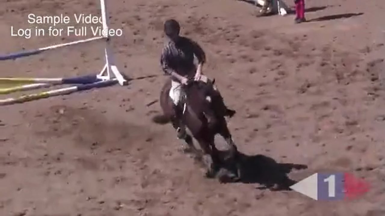 Katrin Bettenworth training Julien to get the horse to use the hind leg in a mor
