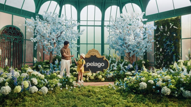 Make All Your Moments Extraordinary