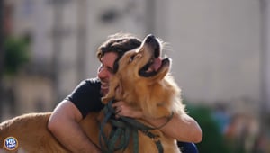 Golden Retriever Ushers People Out His Home