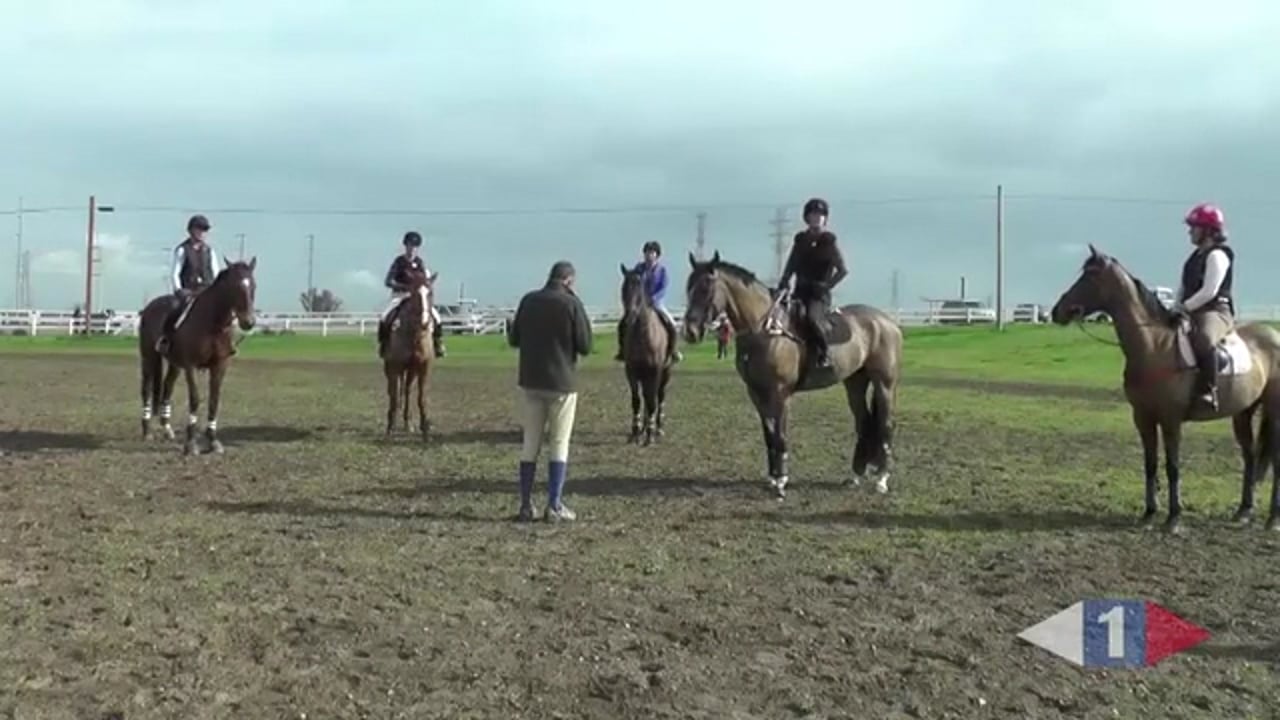 Katrin training Saxson Koenig part 2