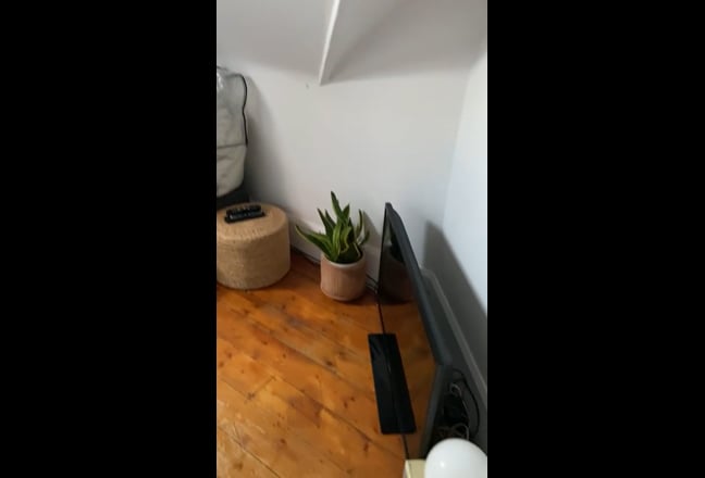 Lovely room in beautiful Clapton flat Main Photo