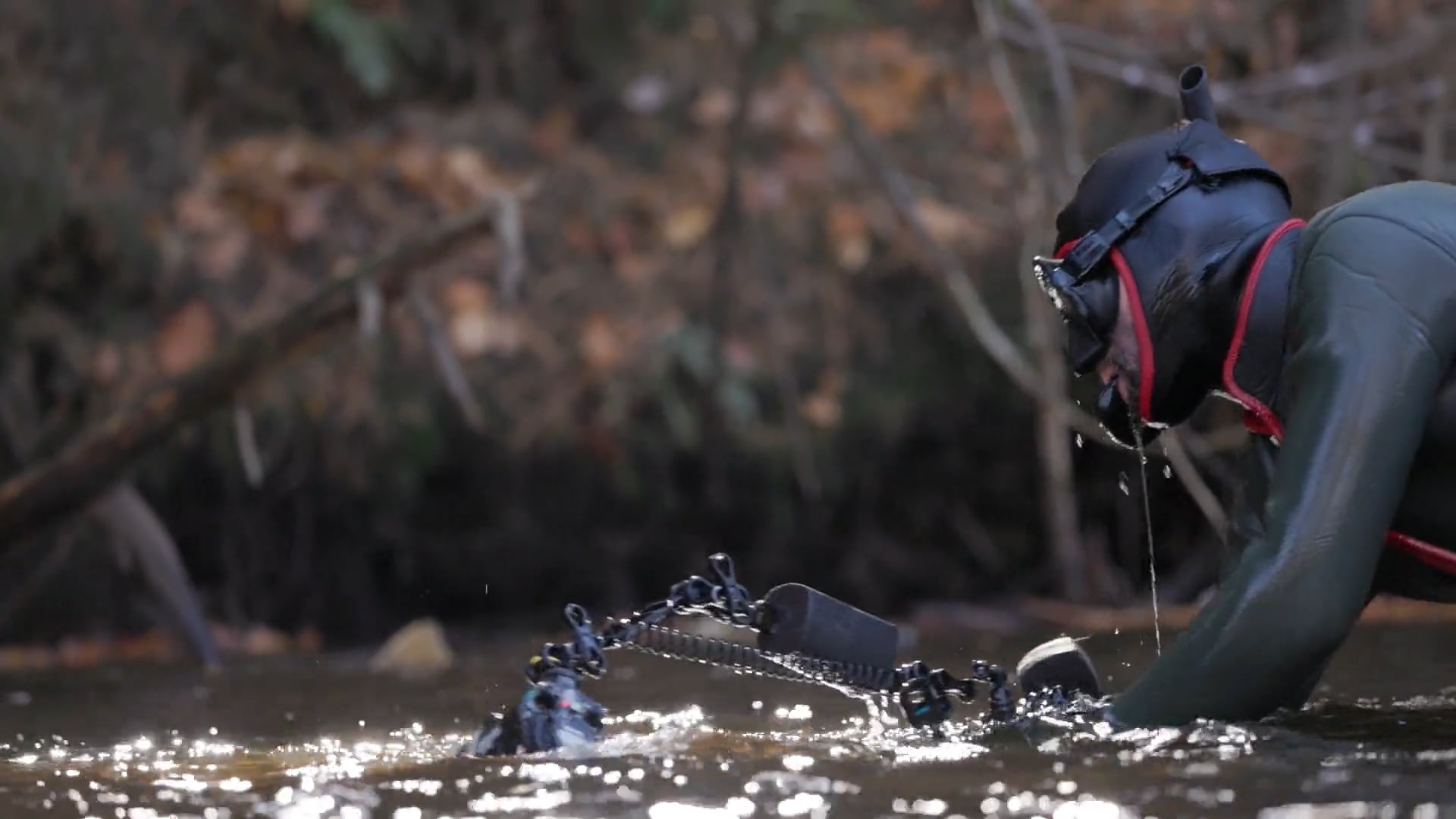 From the Field (BTS)