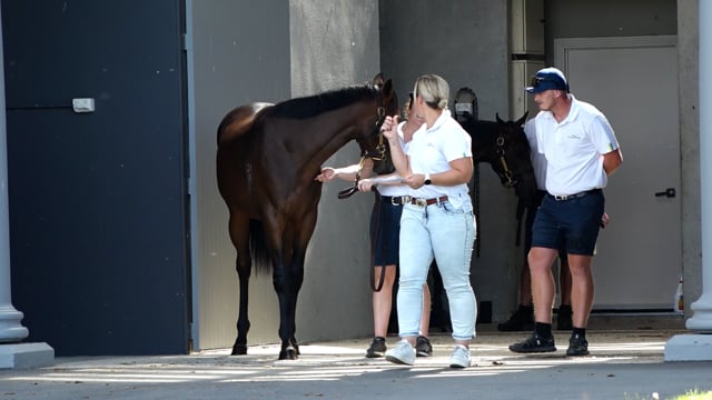 Karaka 2026 | Elsdon Park